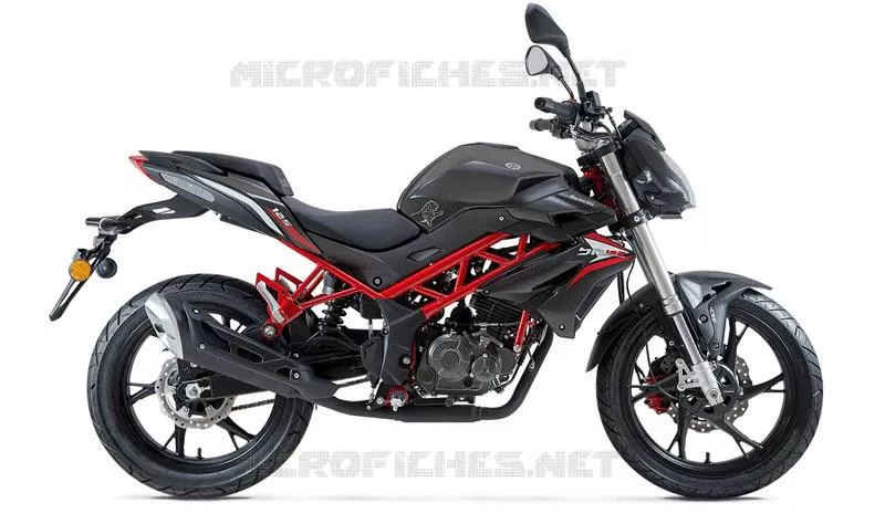 CADRE ROUGE / NOIR Benelli moto 125 2019 BN 125 (E4) (L8-M0)  BN 125
