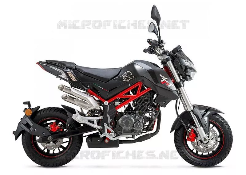 CADRE ROUGE / NOIR Benelli moto 125 2019 TNT 125 ABS (L7-M0)  TNT 125