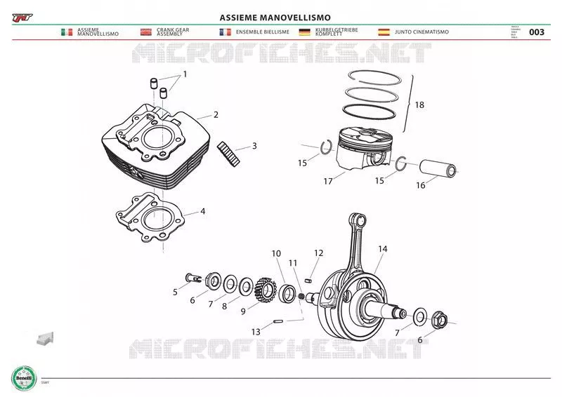 PIGNONS DE VILEBREQUIN Benelli moto 125 2019 TNT 125 ABS (L7-M0)  TNT 125